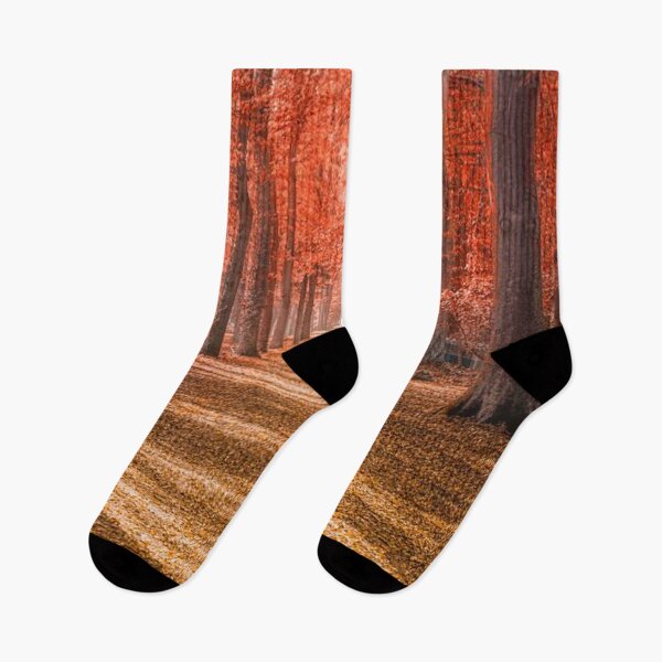 Item preview, Let’s go for a walk- Beautiful autumn forests  designed and sold by Durgaa D.