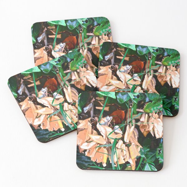 Item preview, Dead leaves designed and sold by Shulie1.