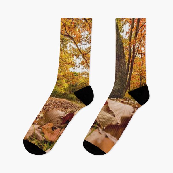 Item preview,  Beautiful autumn forests  designed and sold by Durgaa D.