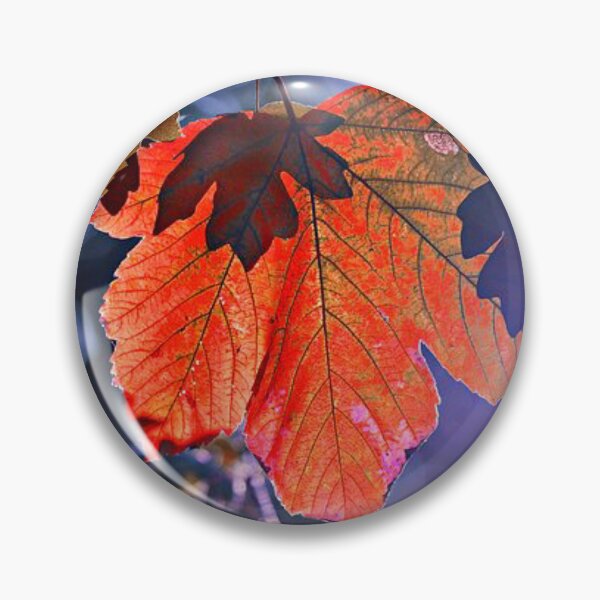 Item preview, Dry leaves - Beautiful autumn forests  designed and sold by Durgaa D.