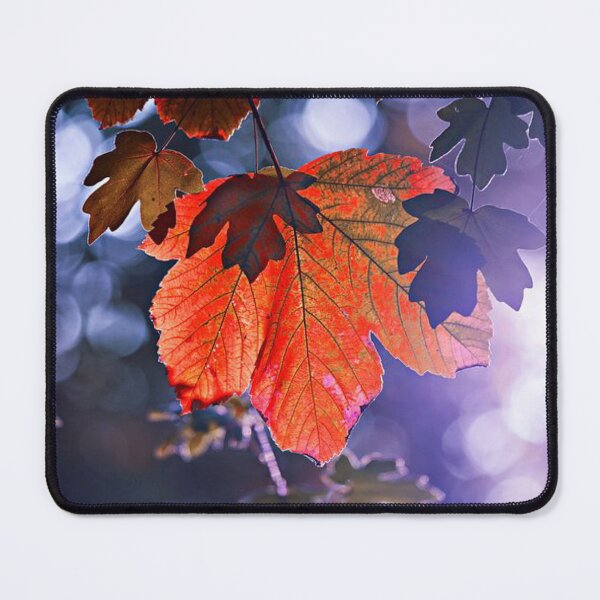 Item preview, Dry leaves - Beautiful autumn forests designed and sold by Durgaa D.