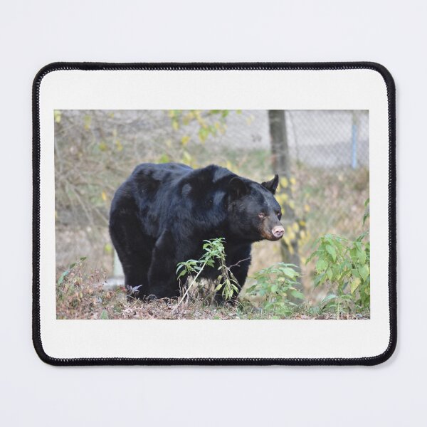 Item preview, Black Bear designed and sold by MarieDarcy97.