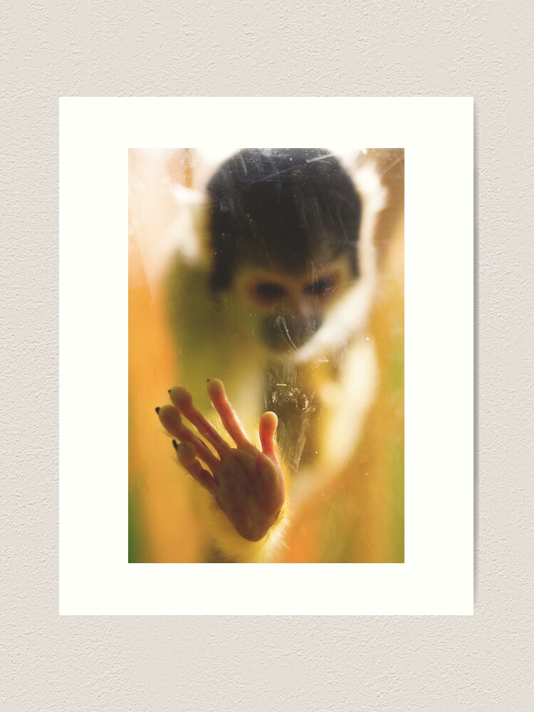 Thumbnail 2 of 3, Art Print, Bolivian Squirrel Monkey designed and sold by IAmPaul.
