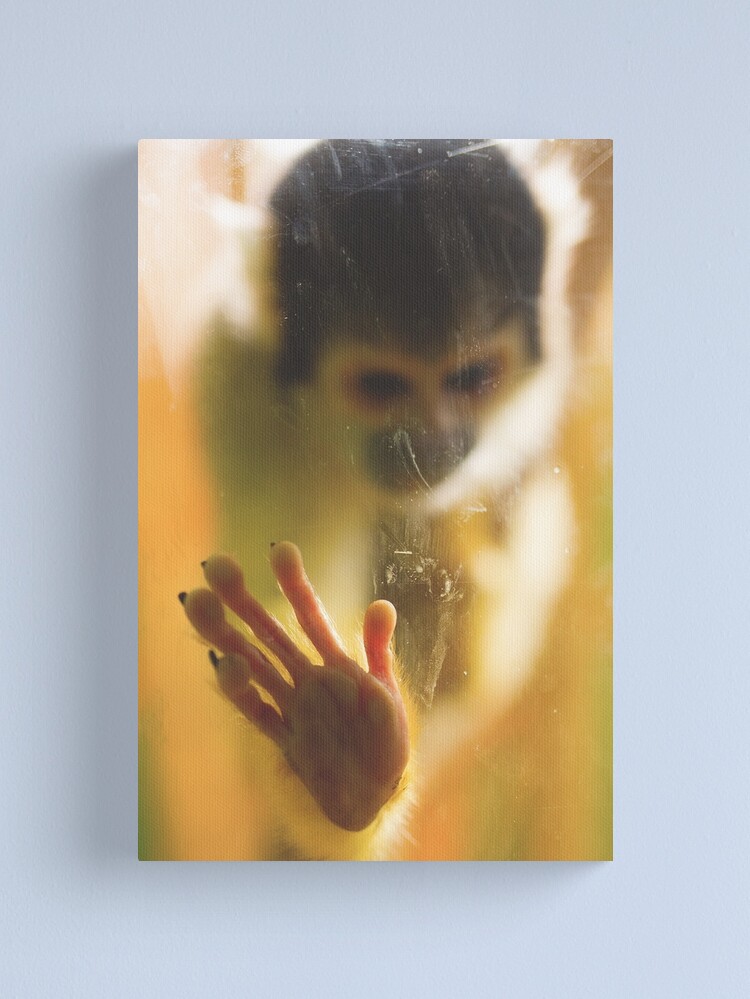 Thumbnail 2 of 3, Canvas Print, Bolivian Squirrel Monkey designed and sold by IAmPaul.
