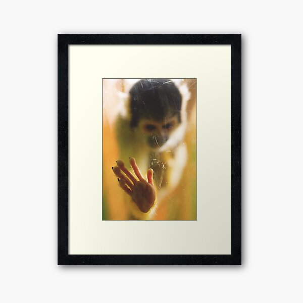 Bolivian Squirrel Monkey Framed Art Print