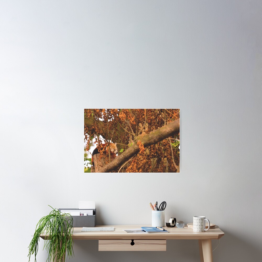 Item preview, Poster designed and sold by IAmPaul.