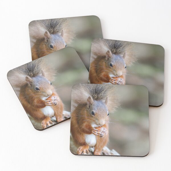 Item preview, Red squirrel designed and sold by Yves Roumazeilles (Wild Focus).