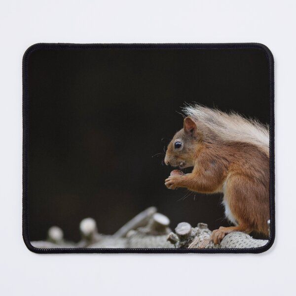 Ecureuil roux Tapis de souris