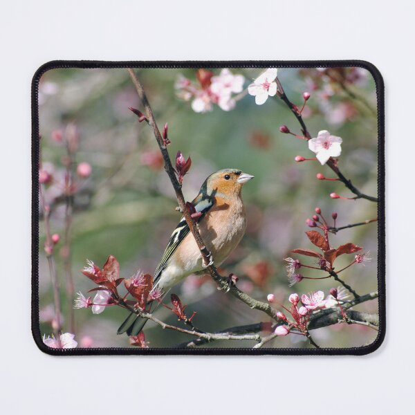 Item preview, Finch designed and sold by iago rodriguez dopico.