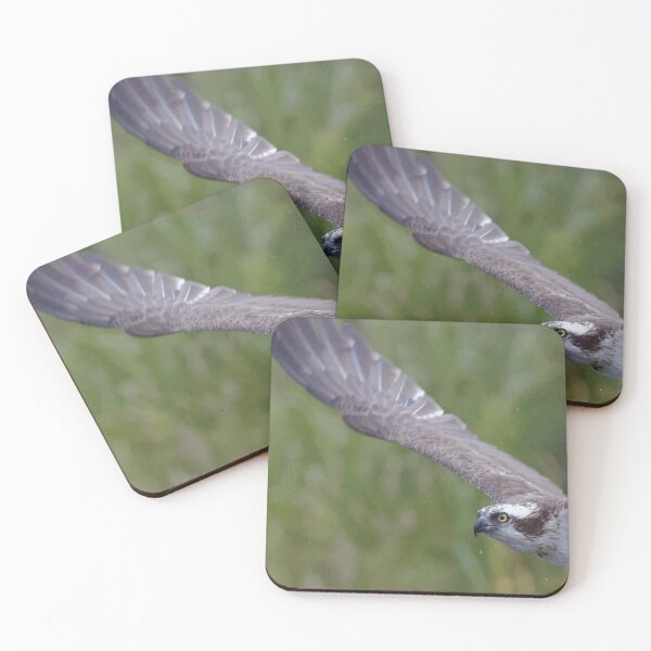 Item preview, Osprey designed and sold by Yves Roumazeilles (Wild Focus).