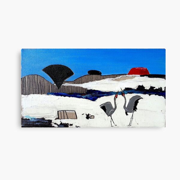 brolga springs Canvas Print