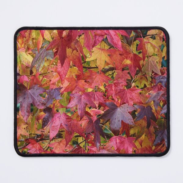 Item preview, Dry leaves - autumn leaf Beautiful autumn forests designed and sold by Durgaa D.