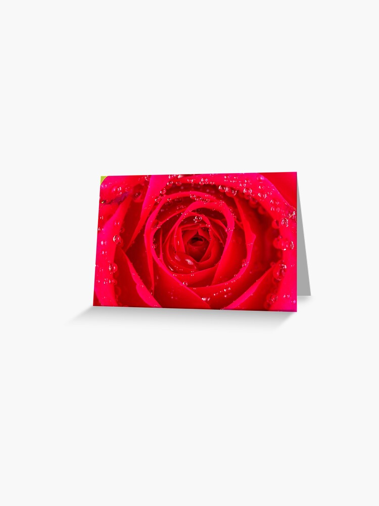 Thumbnail 1 of 2, Greeting Card, Rose Macro designed and sold by IAmPaul.