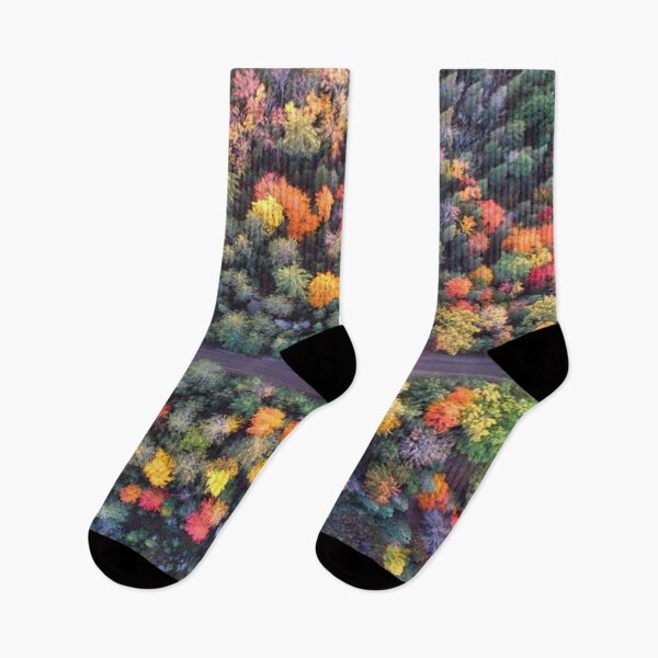 Item preview, Bird view of this Beautiful autumn forests designed and sold by Durgaa D.