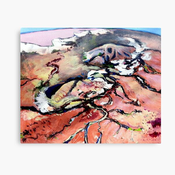 view to lake eyre Canvas Print