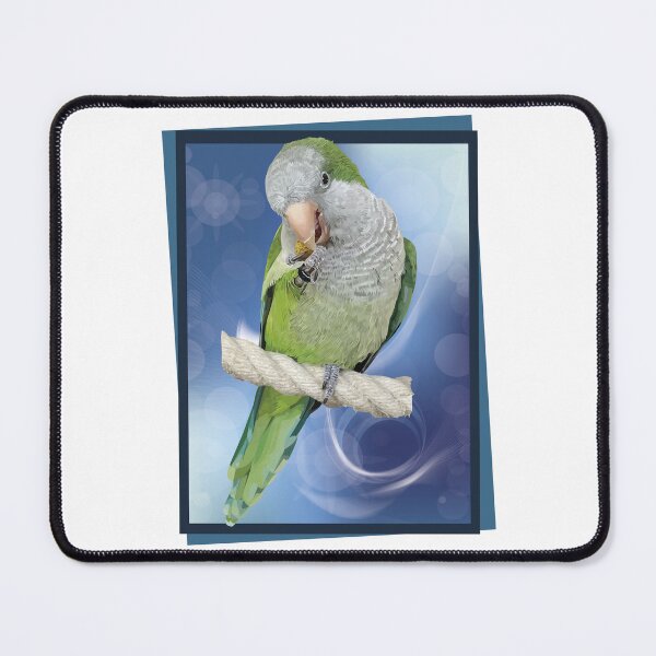 Item preview, argentine parrot designed and sold by obscurite.