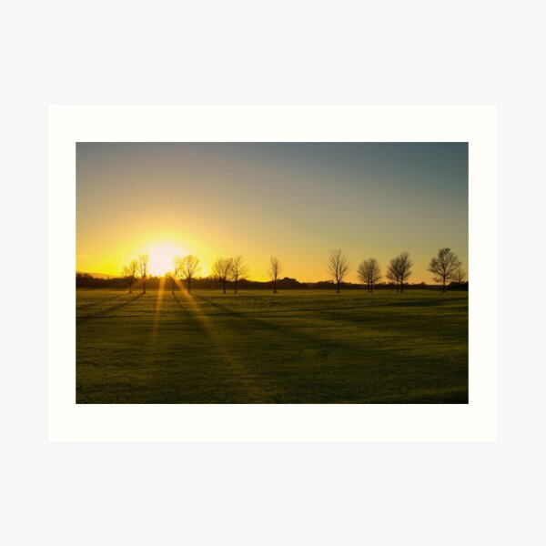 Sunset in the Phoenix Park, Dublin Art Print