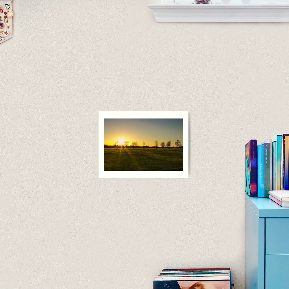 Sunset in the Phoenix Park, Dublin Art Print