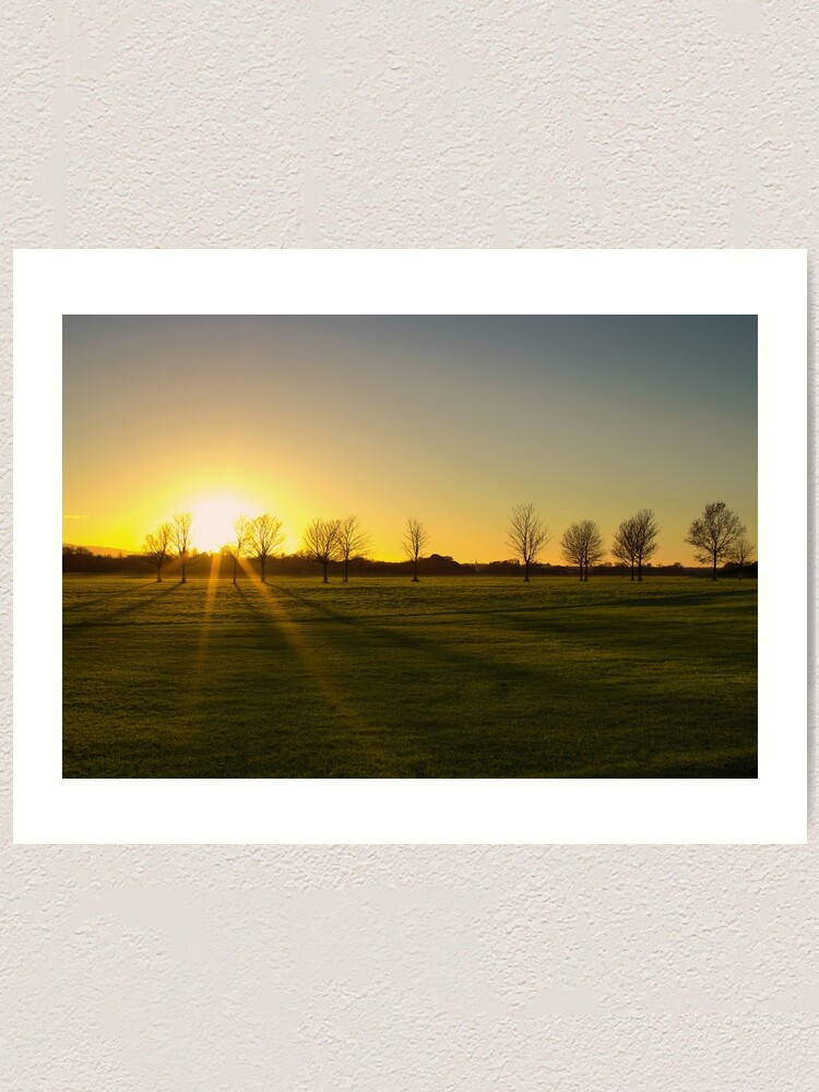 Alternate view of Sunset in the Phoenix Park, Dublin Art Print