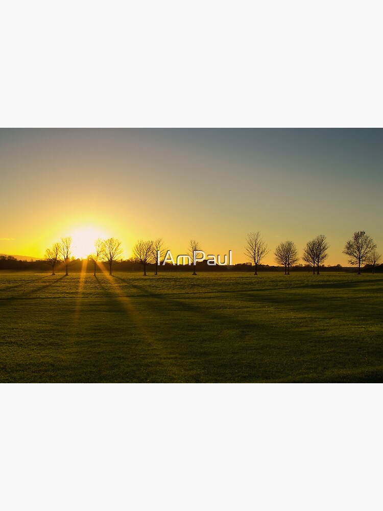 Sunset in the Phoenix Park, Dublin by IAmPaul