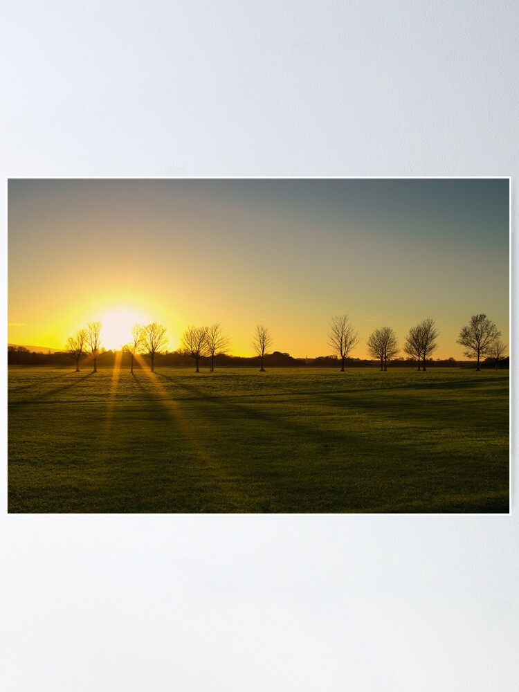Thumbnail 2 of 3, Poster, Sunset in the Phoenix Park, Dublin designed and sold by IAmPaul.