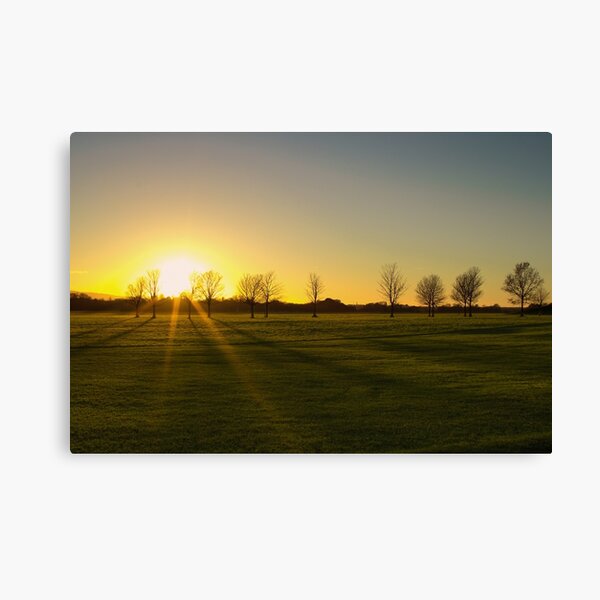 Sunset in the Phoenix Park, Dublin Canvas Print