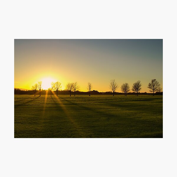 Sunset in the Phoenix Park, Dublin Photographic Print