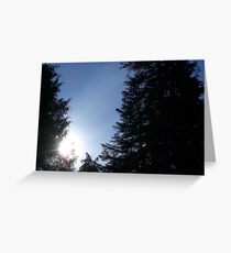 Knights Too Greeting Card