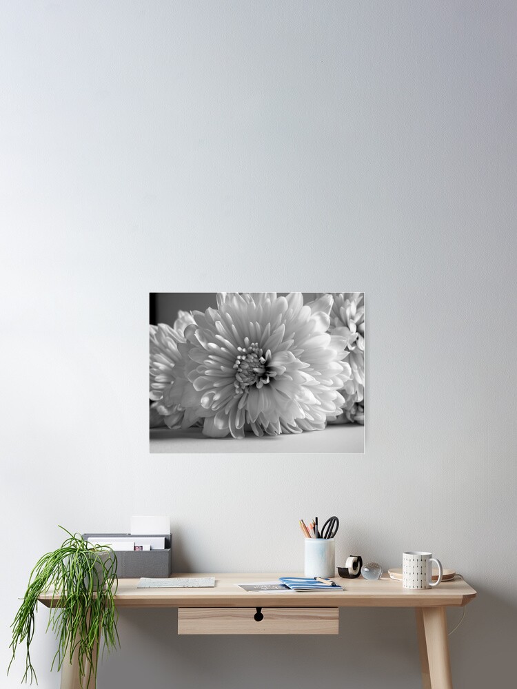 Thumbnail 2 of 3, Poster, Nostalgia White Peony Flower designed and sold by OneDayArt.