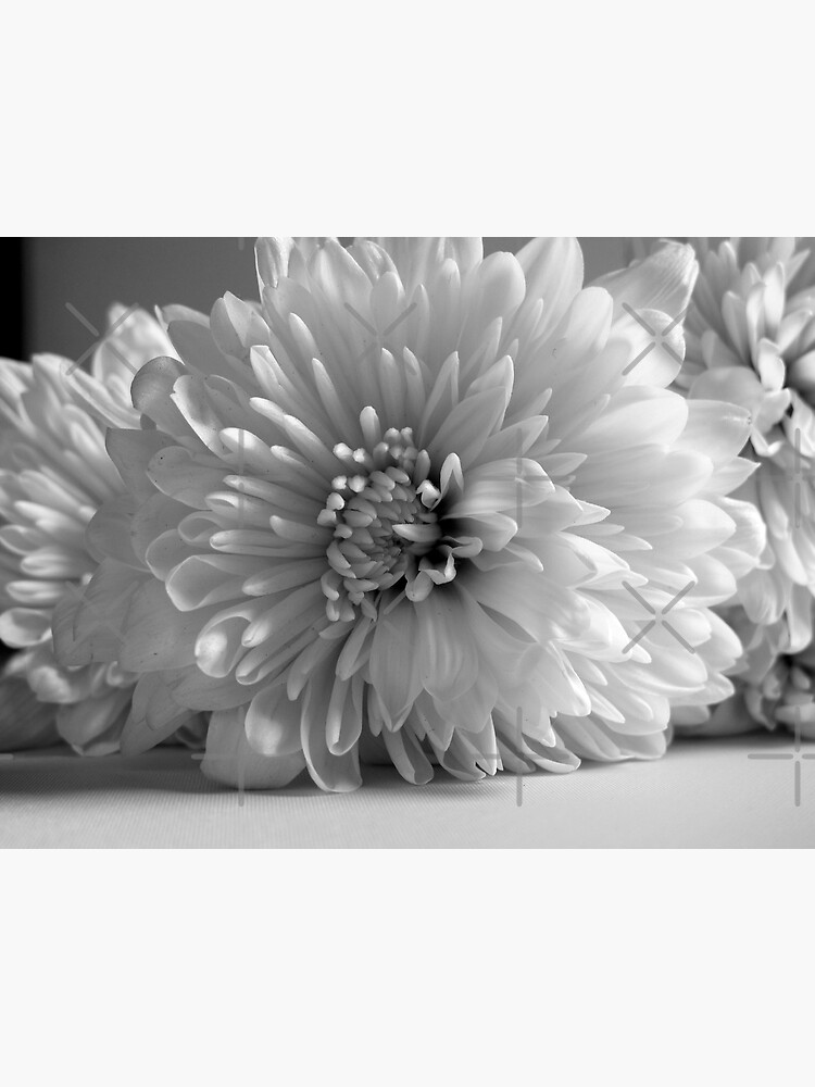 Thumbnail 3 of 3, Poster, Nostalgia White Peony Flower designed and sold by OneDayArt.