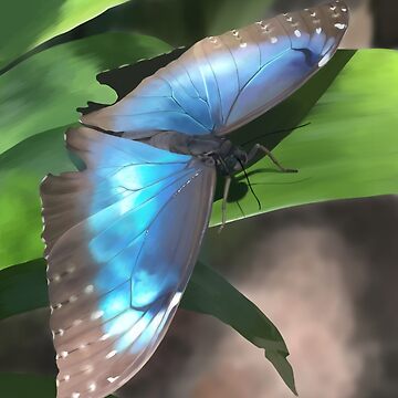 Blue Morpho Butterfly · Tennessee Aquarium