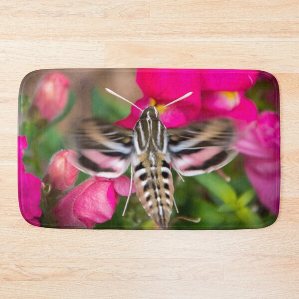 Item preview, Hummingbird Moth in Motion designed and sold by Debra Martz.