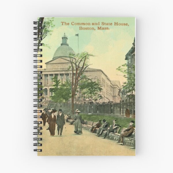 Item preview, 1900 Common and State House Boston MA designed and sold by aapshop.