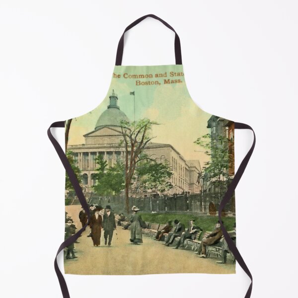 Item preview, 1900 Common and State House Boston MA designed and sold by aapshop.