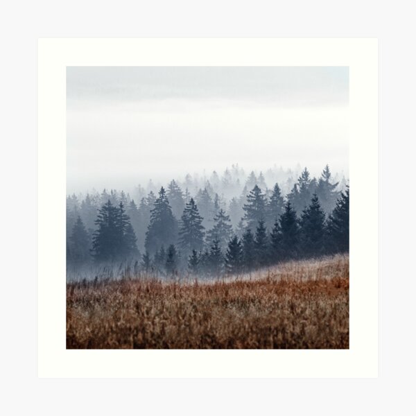 Lost In Fog Art Print
