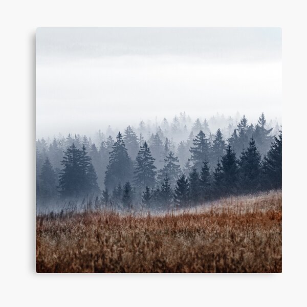 Lost In Fog Canvas Print