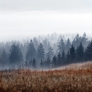 Artwork thumbnail, Lost In Fog // Misty Morning Landscape Autumn Wilderness Forest Waves With Cascadia Trees Covered In Fog by Tordis Kayma