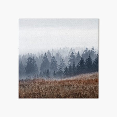 Lost In Fog Art Board Print