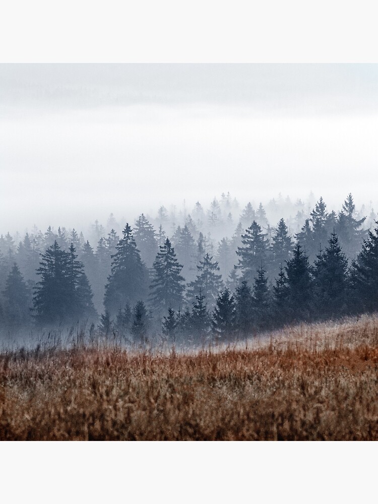 Lost In Fog by tekay