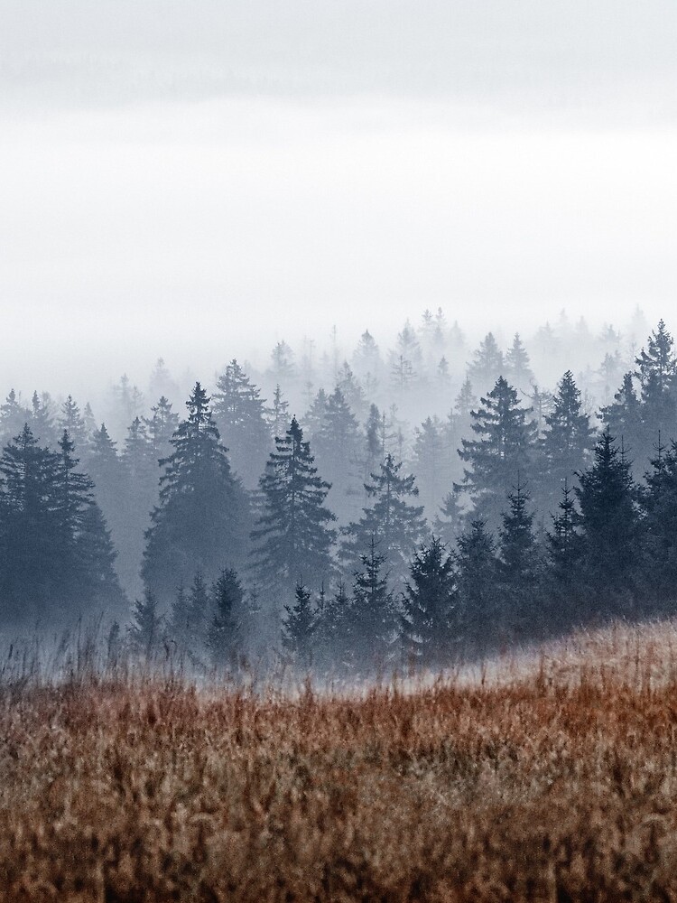Lost In Fog by tekay