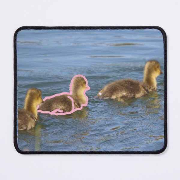 Item preview, Ducks in a Row featuring Baby Ducklings designed and sold by Cowboy Folly.