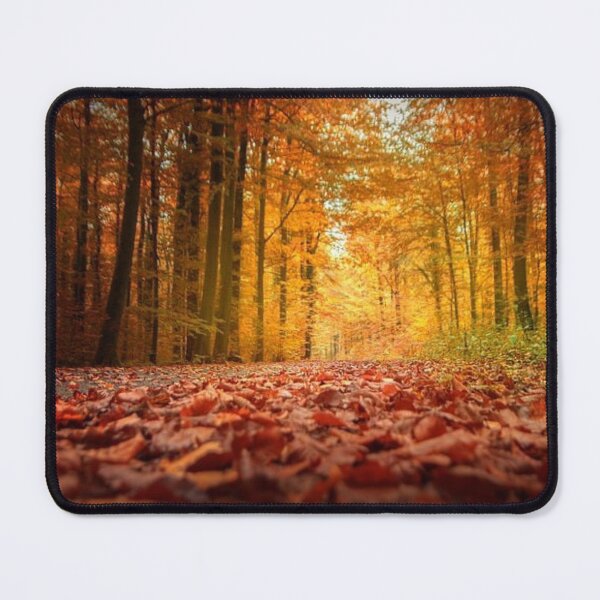 Item preview, Colourful autumn forest with dry fallen orange leafs designed and sold by Durgaa D.