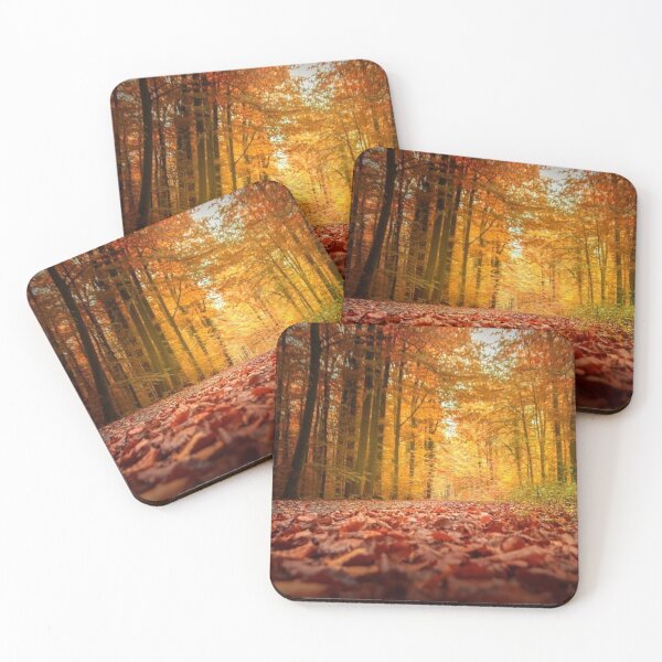 Item preview, Colourful autumn forest with dry fallen orange leafs  designed and sold by Durgaa D.