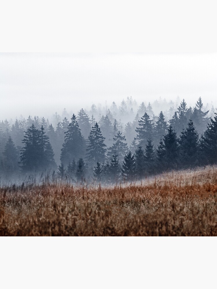 Lost In Fog by tekay