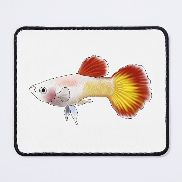 Item preview, Guppy designed and sold by Eversonarts.