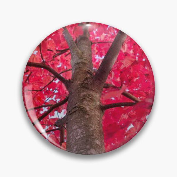 Item preview, Colourful and bright autumn tree designed and sold by Durgaa D.