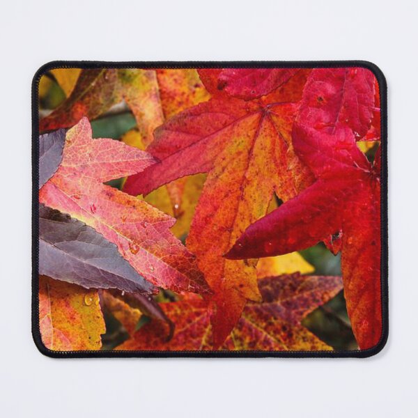 Item preview, Colourful and bright autumn leaf- dry, fallen leaf designed and sold by Durgaa D.