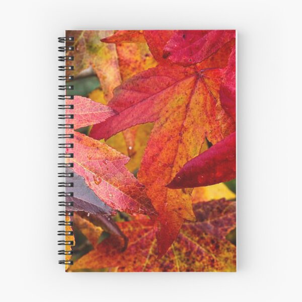 Item preview, Colourful and bright autumn leaf- dry, fallen leaf designed and sold by Durgaa D.