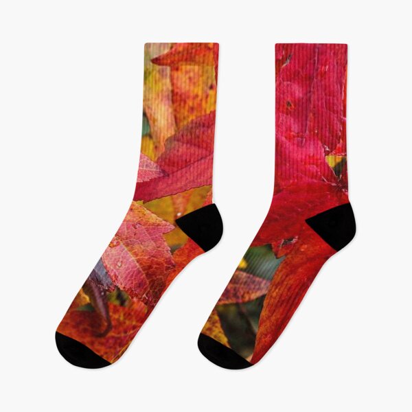 Item preview, Colourful and bright autumn leaf- dry, fallen leaf designed and sold by Durgaa D.