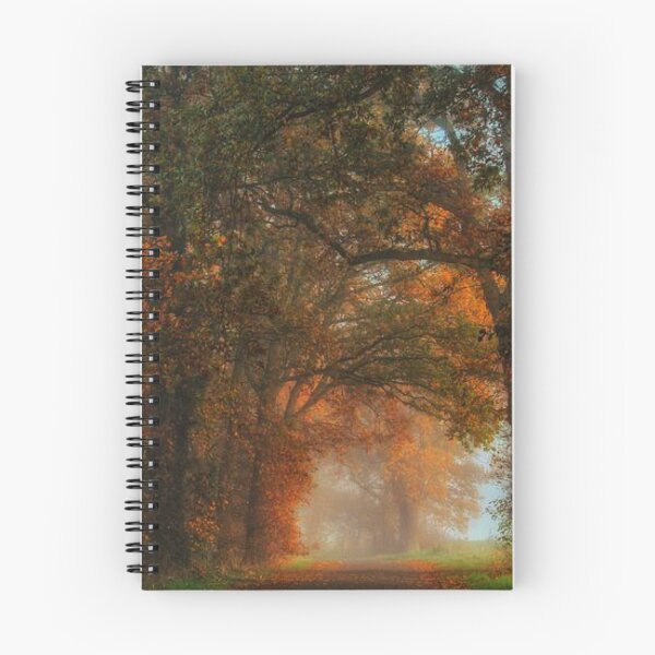 Item preview, Beautiful, Colourful and bright autumn trees designed and sold by Durgaa D.